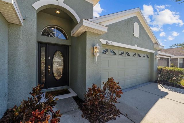 18605 LE DAUPHINE PLACE, Lutz, FL 33558