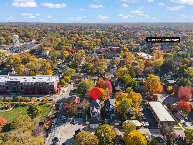 223 N Ellsworth Street, Naperville, IL 60540