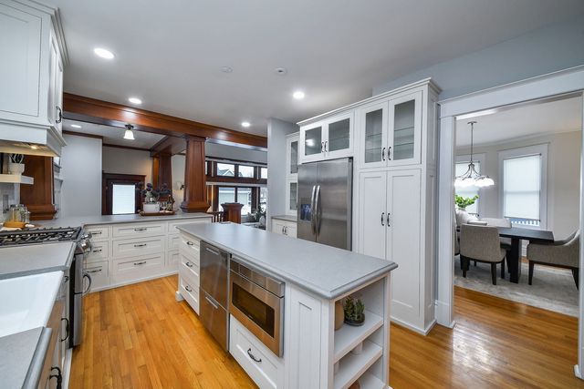 223 N Ellsworth Street, Naperville, IL 60540