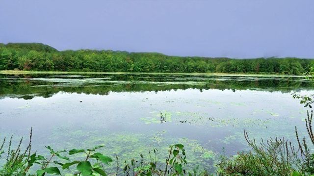 28 Thayer Pond Dr 12, Oxford, MA 01537