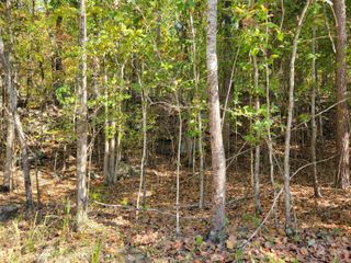 13 Raulstontown Road 13, South Pittsburg, TN 37380