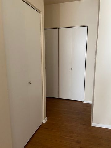 780 S FEDERAL Street 301, Chicago, IL 60605