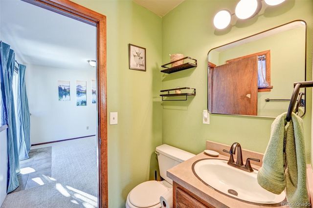 125 Raymond Lee Drive, Buena Vista, CO 81211