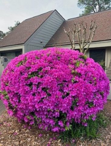 177 Club Cir Unit 1-11, Pawleys Island, SC 29585