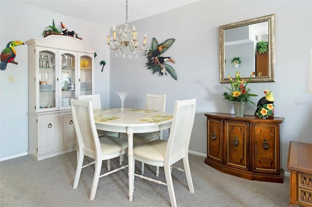 8101 11TH STREET N 319, St Petersburg, FL 33702