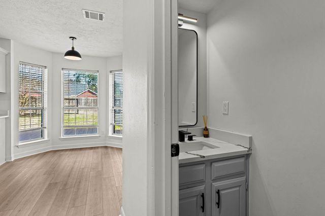 1219 Hollow Ash Lane, Katy, TX 77450