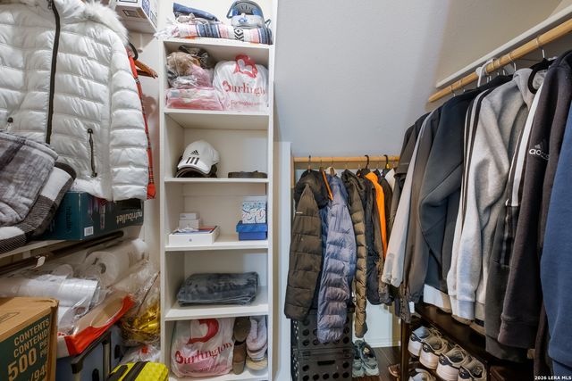 14306 Yellow Warbler, San Antonio, TX 78233