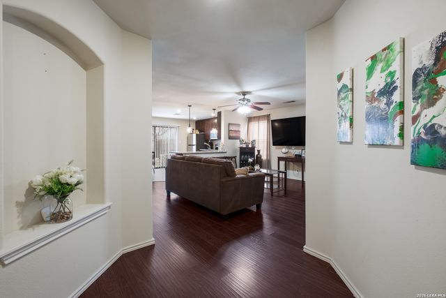 14306 Yellow Warbler, San Antonio, TX 78233