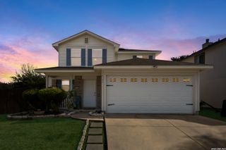 14306 Yellow Warbler, San Antonio, TX 78233