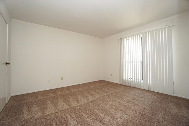 6602 Harbor Town Drive 808, Houston, TX 77036