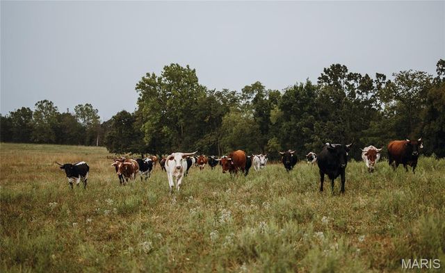 25675 Highway N-Tract 1, Lebanon, MO 65536