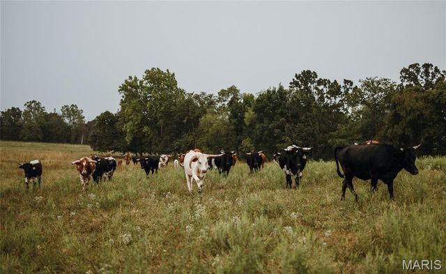 25675 Highway N-Tract 1, Lebanon, MO 65536