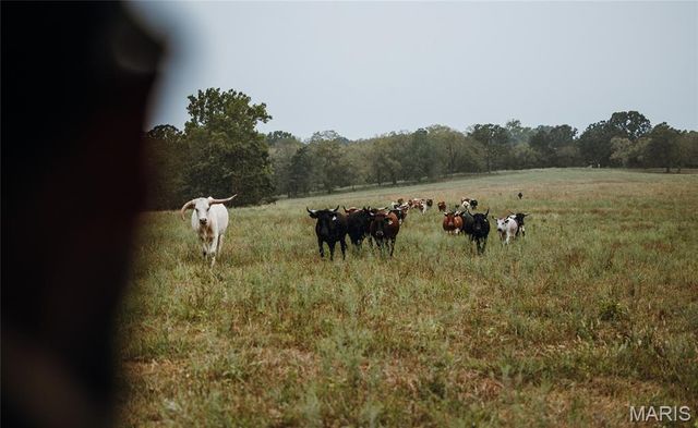 25675 Highway N-Tract 1, Lebanon, MO 65536