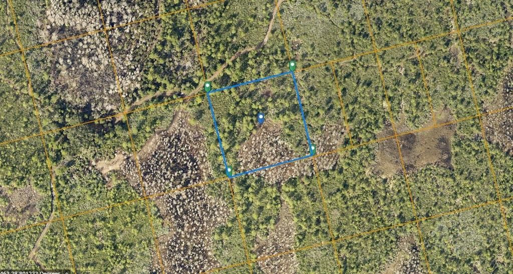 COUNTY LINE DITCH RD, Oak Hill,, FL 32759