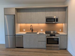 4315 S Congress Ave 233, Austin, TX 78745
