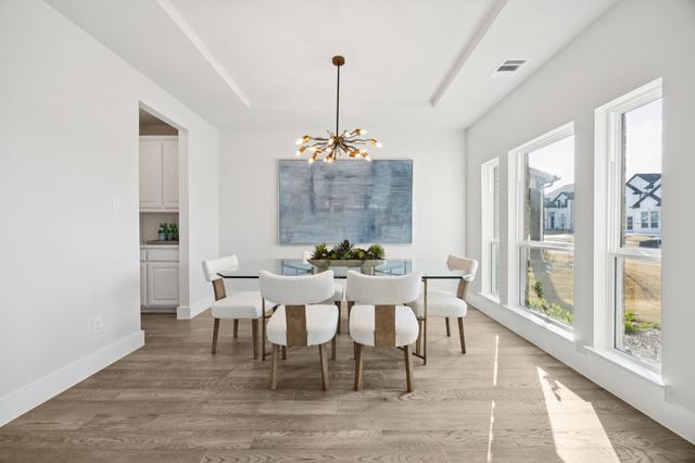 9058 Hyacinth Lane, Frisco, TX 75036