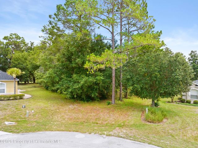 17 Woodlee Court, Homosassa, FL 34446