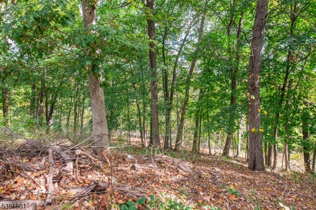 951 N Beverwyck Rd, Parsippany-troy Hills Twp., NJ 07005