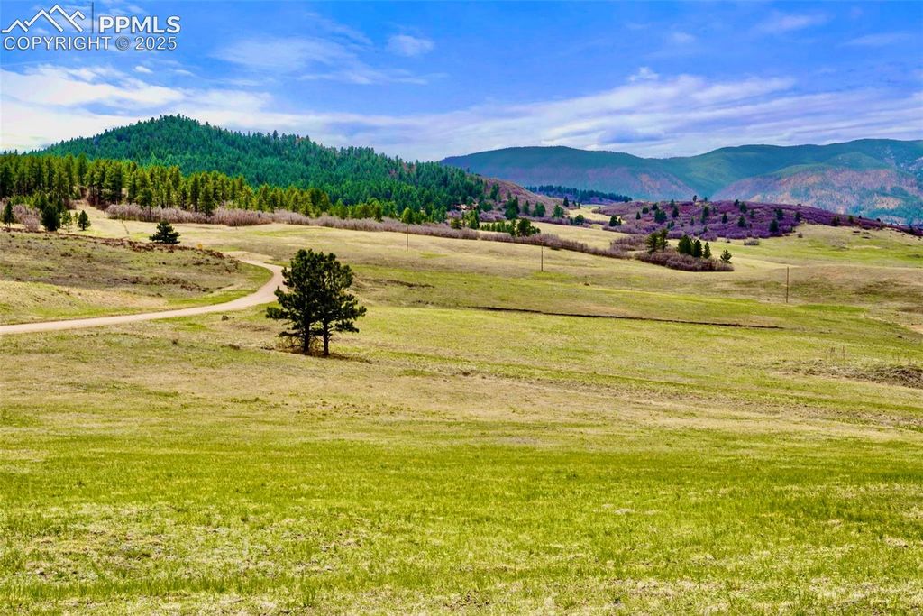 3 S Perry Park Road, Larkspur, CO 80118 — exterior