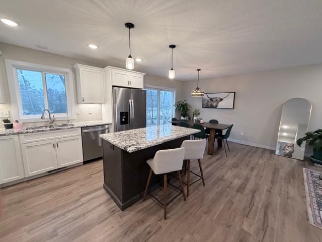 1311 Natures Trail, Alexandria, MN 56308