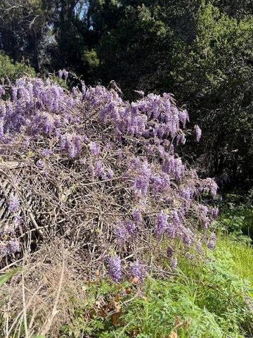 354 San Miguel Canyon Road, Royal Oaks, CA 95076