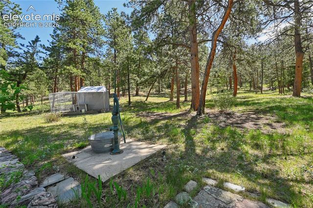 8285 Packard Lane, Green Mountain Falls, CO 80819