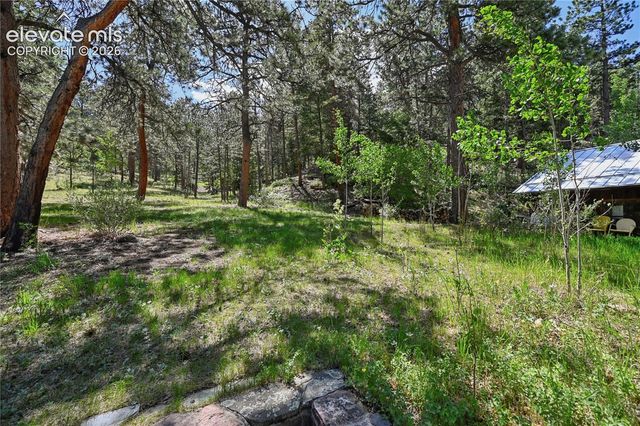 8285 Packard Lane, Green Mountain Falls, CO 80819