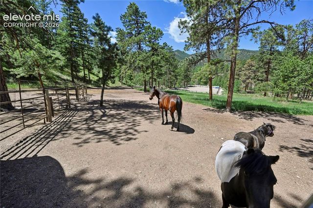 8285 Packard Lane, Green Mountain Falls, CO 80819