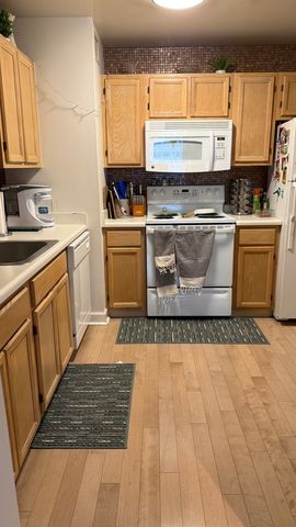 200 N Dearborn Street 1005, Chicago, IL 60601