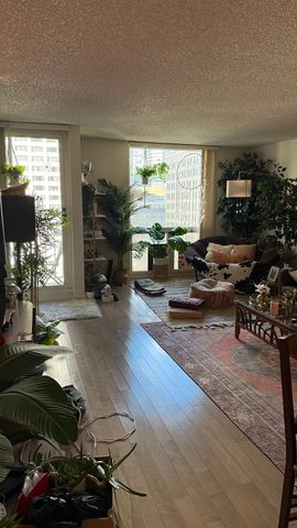 200 N Dearborn Street 1005, Chicago, IL 60601