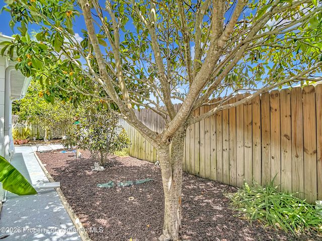 11114 White Oak Lane, Port Richey, FL 34668