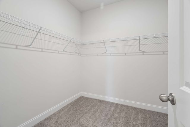 1237 Dutch Peak, Lebanon, TN 37090