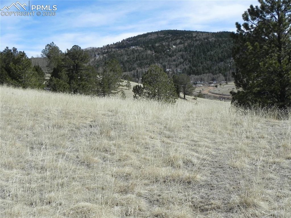 1087 Monarch Drive, Cripple Creek, CO 80813 — exterior