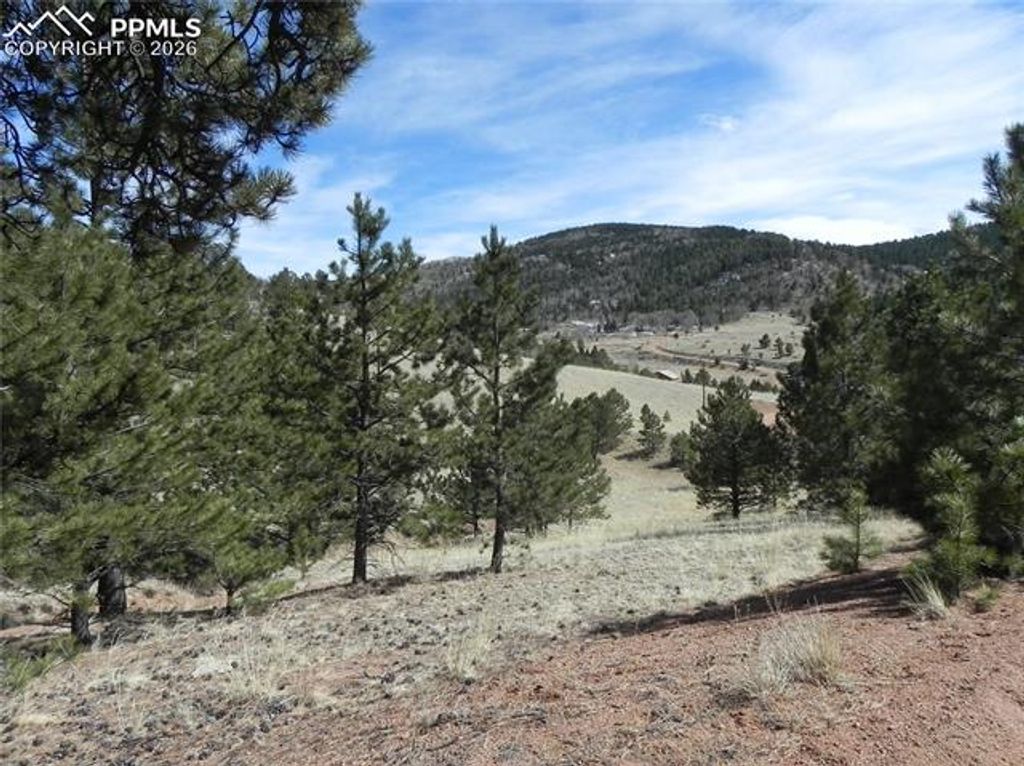 1087 Monarch Drive, Cripple Creek, CO 80813 — photo 2