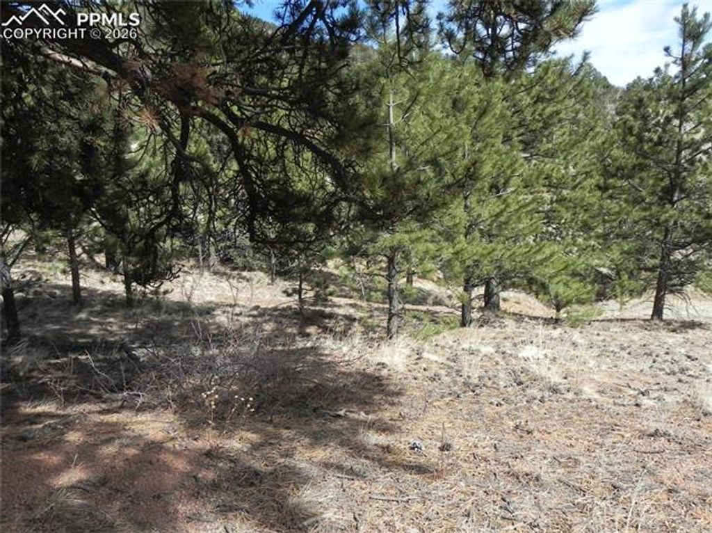 1087 Monarch Drive, Cripple Creek, CO 80813 — photo 3