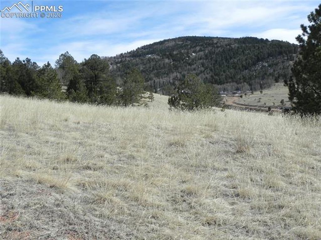1087 Monarch Drive, Cripple Creek, CO 80813 — photo 4