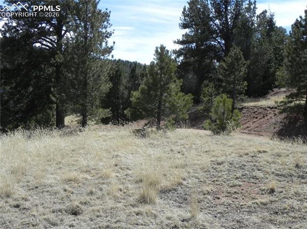 1087 Monarch Drive, Cripple Creek, CO 80813 — photo 5