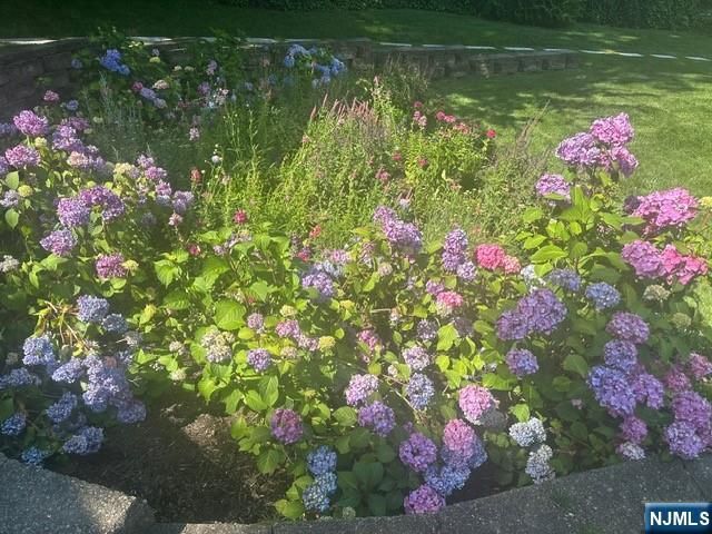 124 Essex Avenue, Glen Ridge, NJ 07028