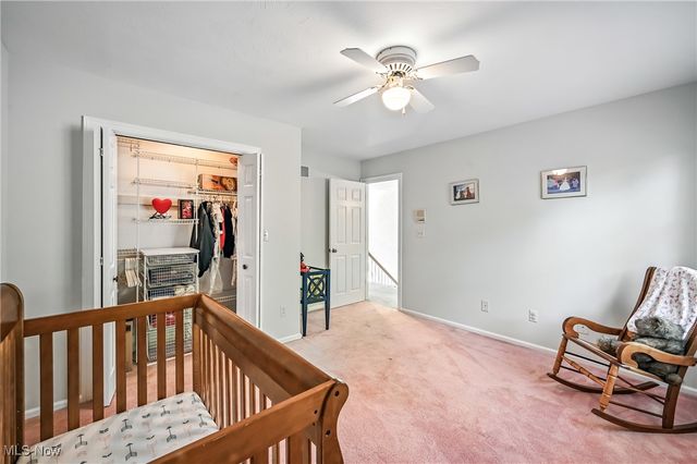 3682 Sperone Drive, Canfield, OH 44406