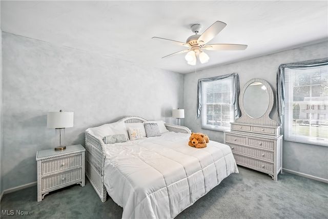 3682 Sperone Drive, Canfield, OH 44406