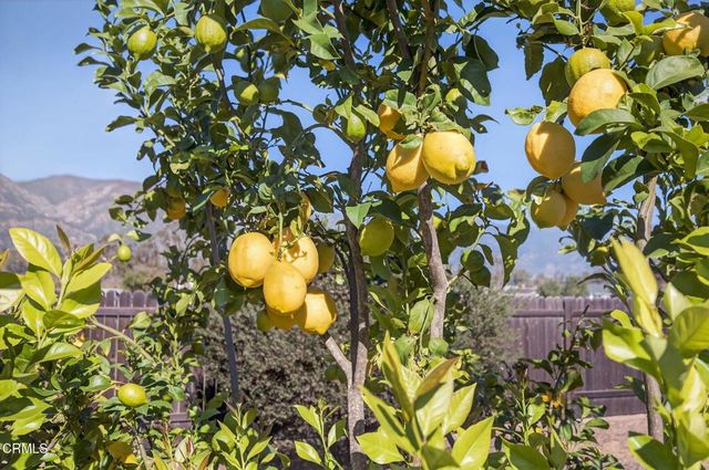 1318 La Paz Drive, Ojai, CA 93023