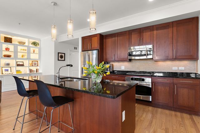 1323 Maple Avenue 3NE, Evanston, IL 60201