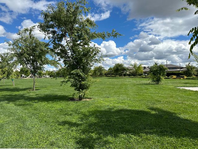 2975 Grassy Bank Ave, Sacramento, CA 95833