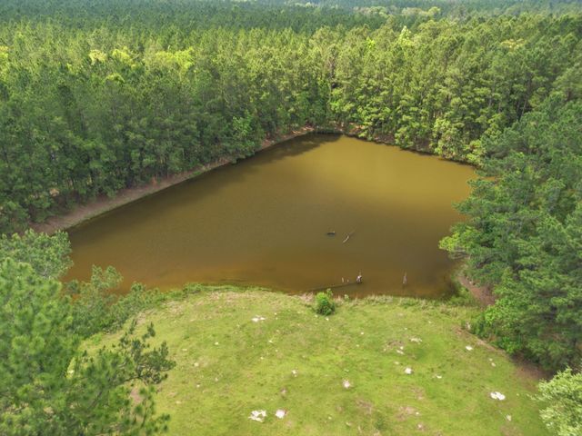 1379 Panhandle, Dequincy, LA 70633