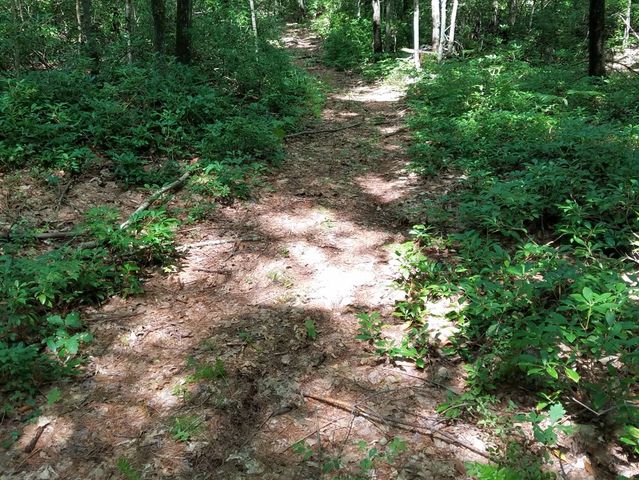 266 Holland Rd, Sturbridge, MA 01518