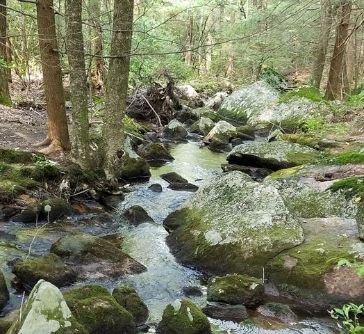 266 Holland Rd, Sturbridge, MA 01518