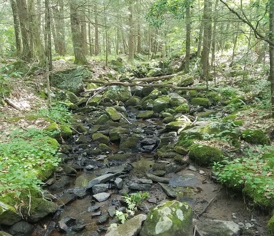 266 Holland Rd, Sturbridge, MA 01518