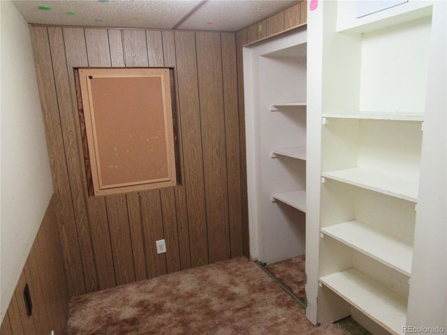 2088 Shelton Drive, Bailey, CO 80421