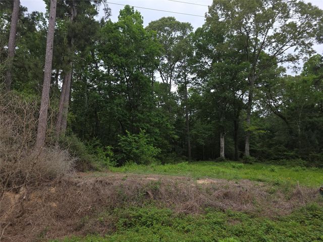 TBD Hidden Oak Drive, Point Blank, TX 77364