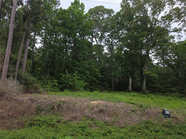 TBD Hidden Oak Drive, Point Blank, TX 77364